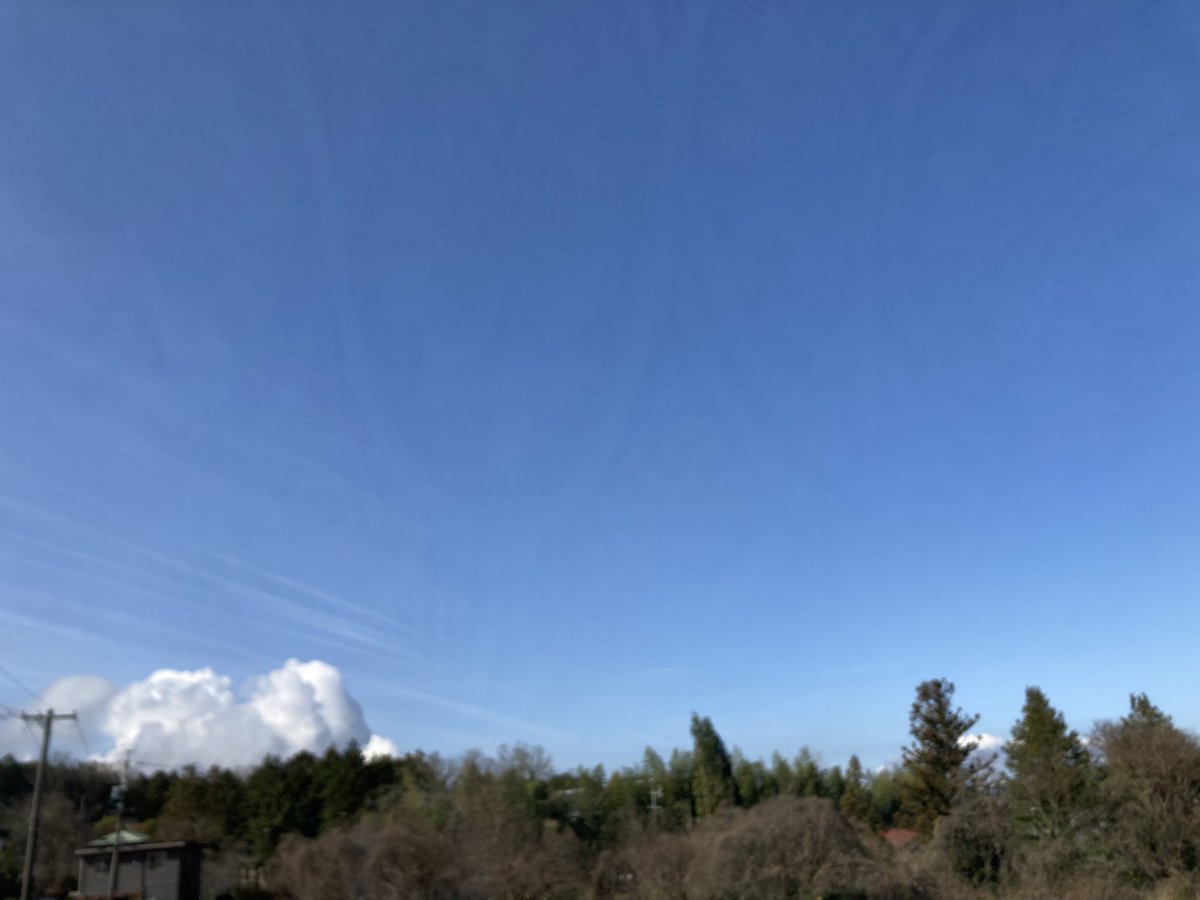 まるまる@お疲れちゃん tweet media