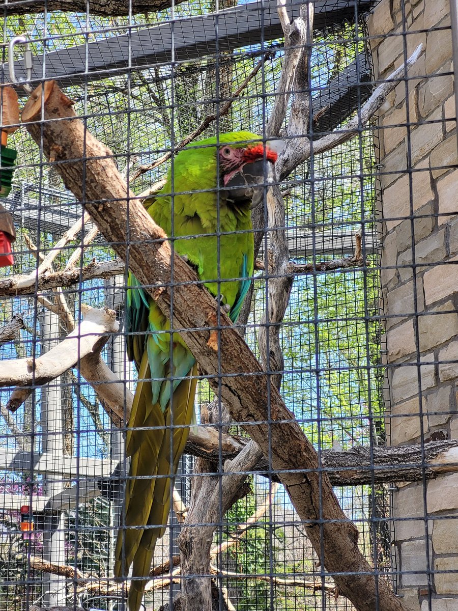 crdnl jack 🍳 tweet media