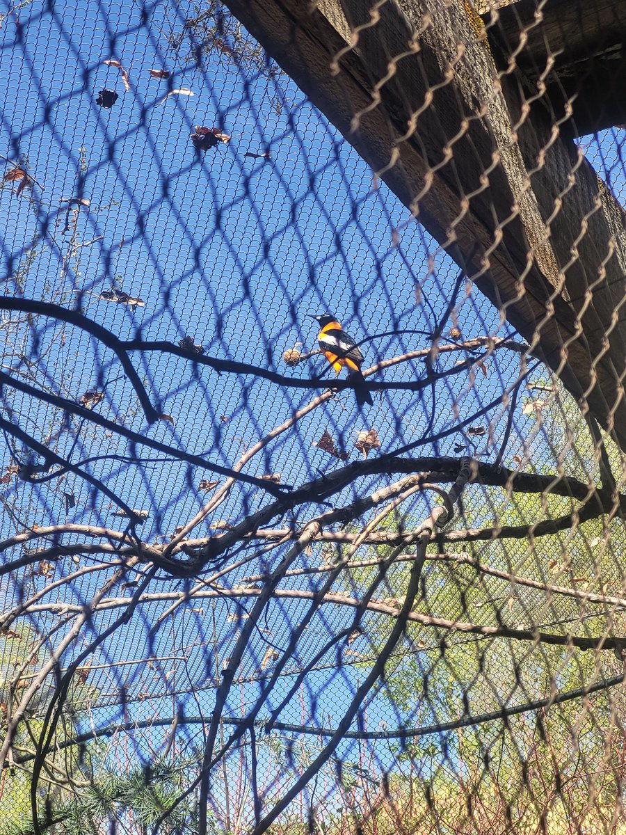 crdnl jack 🍳 tweet media