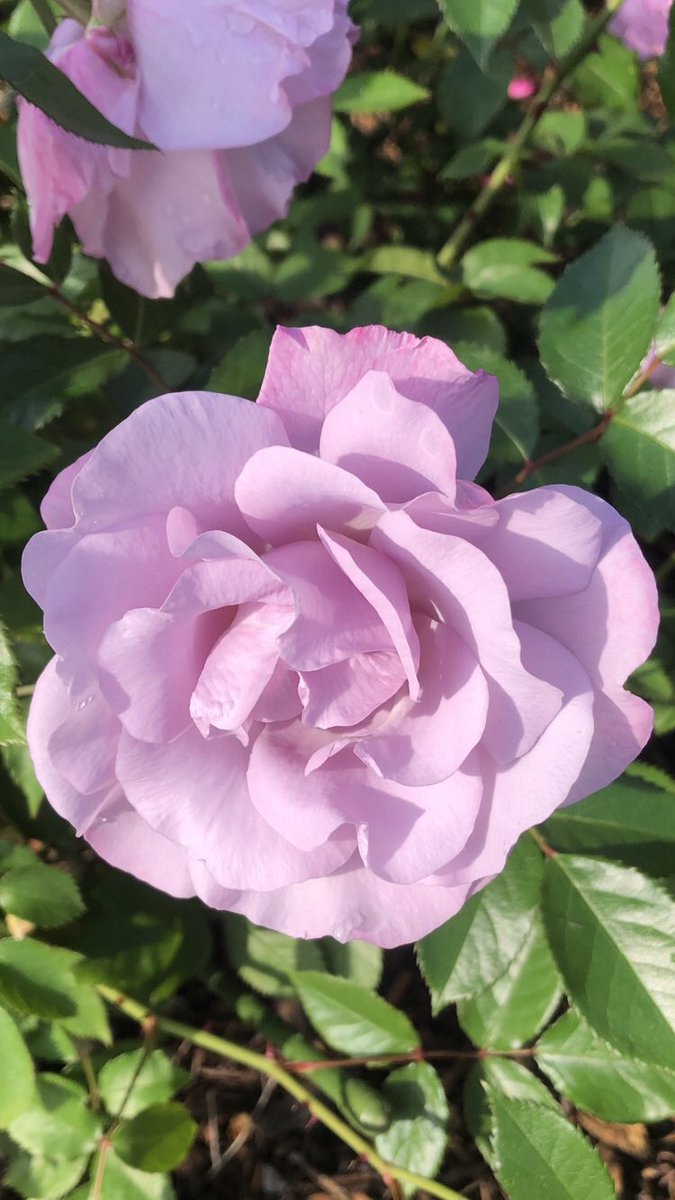 大和定寿 tweet media