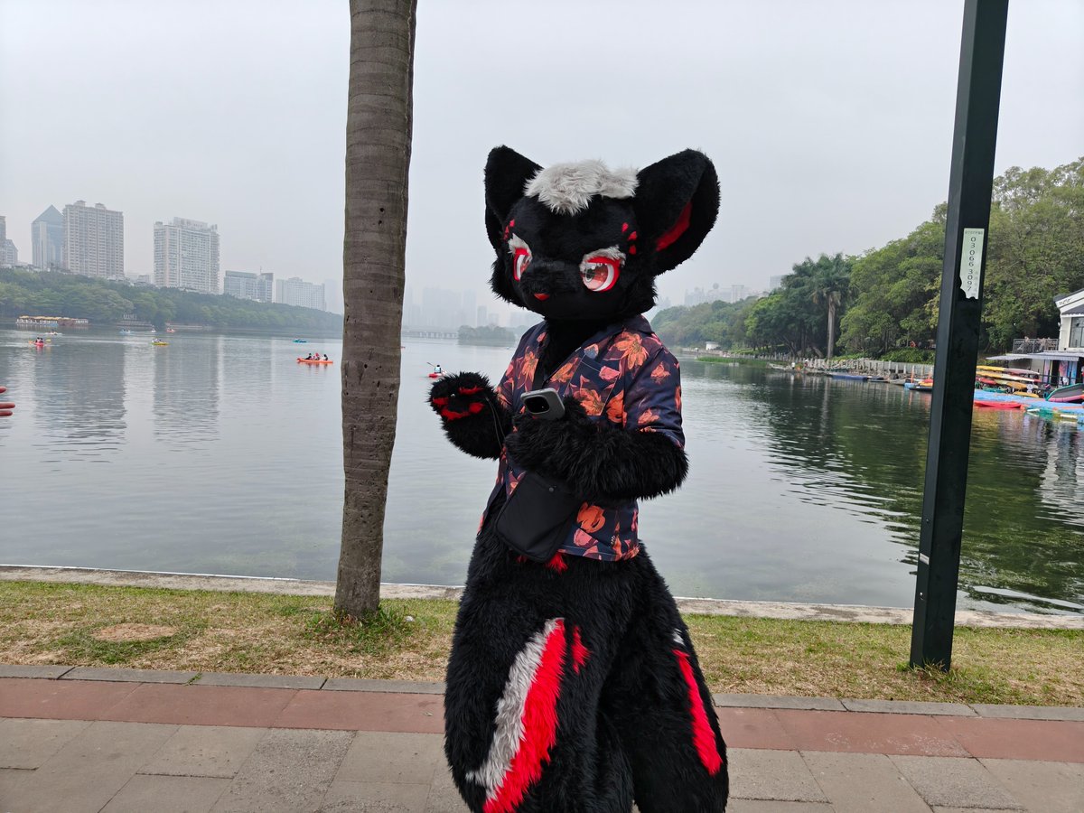 雨衣丿羽翼 tweet media