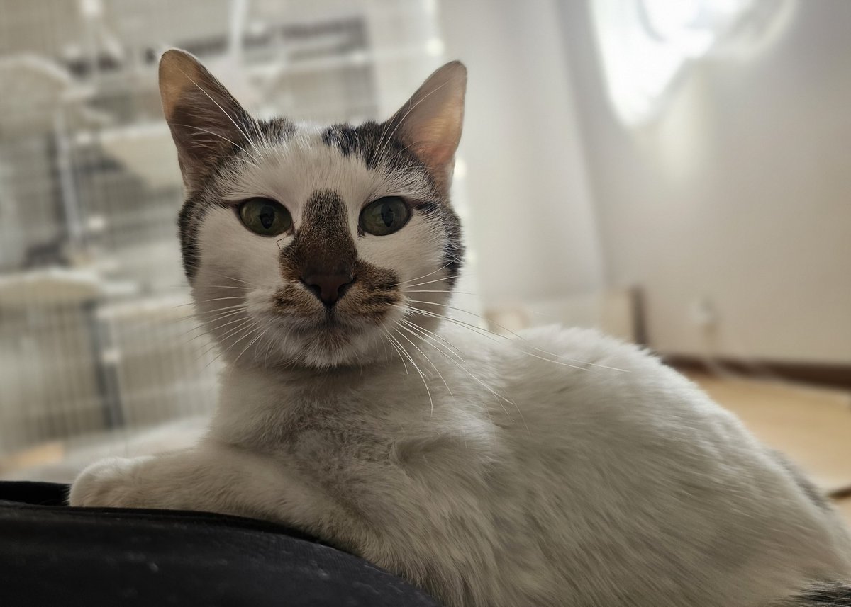 田中さんちの仲良し家族 tweet media