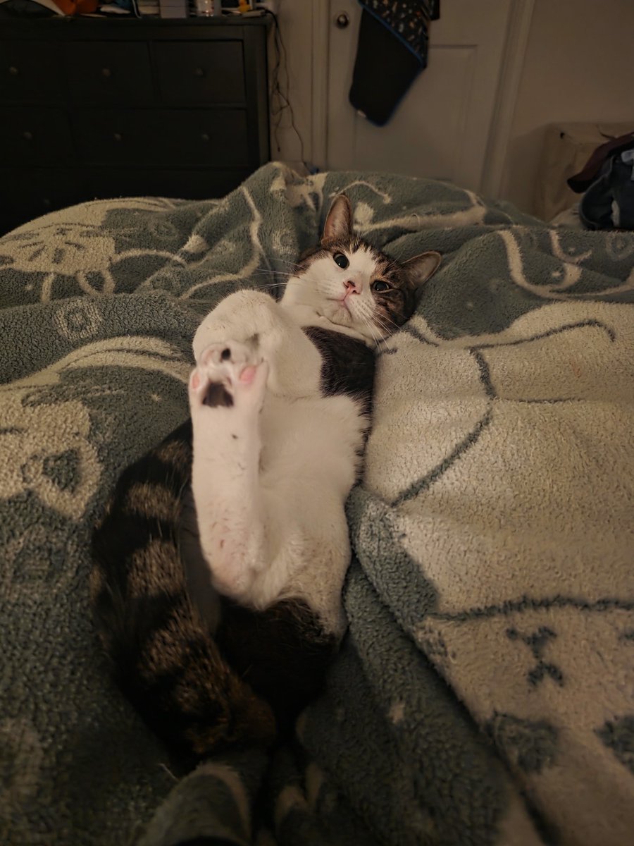 NerdyBell tweet media