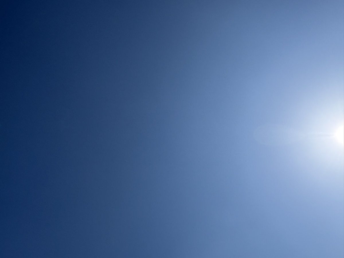 On Live Tours tweet media