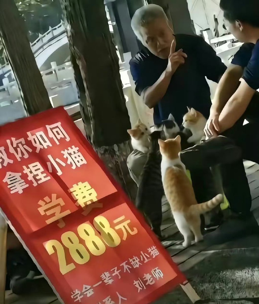 夜之城鼠鼠 tweet media