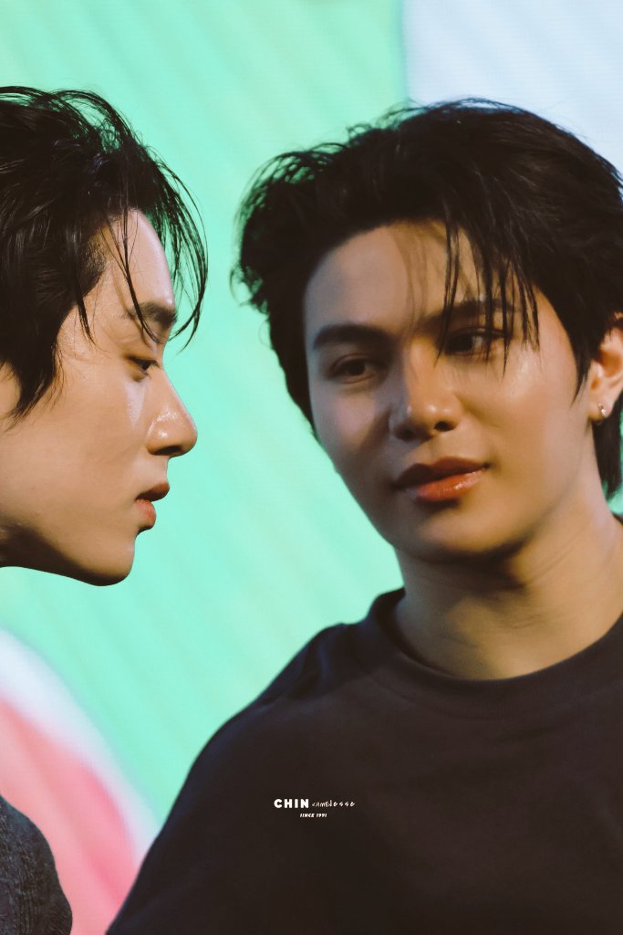 Chom ©Westie🐶🐬 tweet media