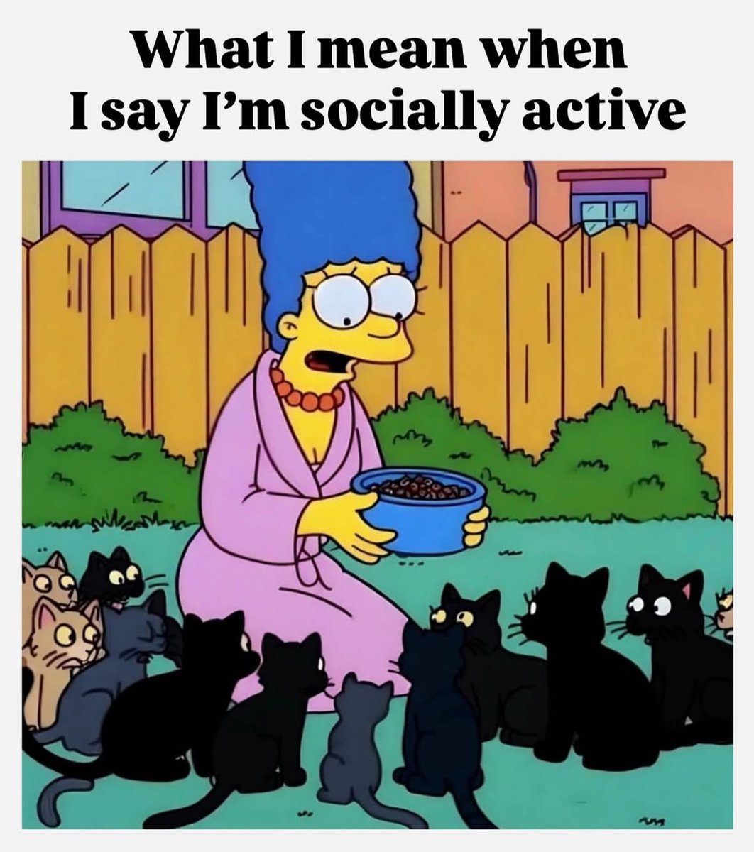 LAnDo NIFFIRG™️🇨🇦 tweet media