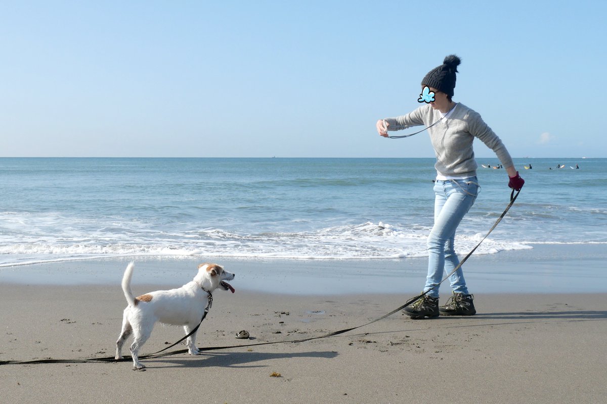 おちゃ tweet media