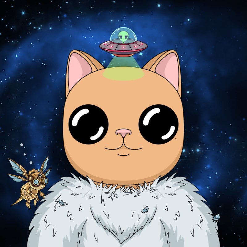 StarBoy𖤐 tweet media