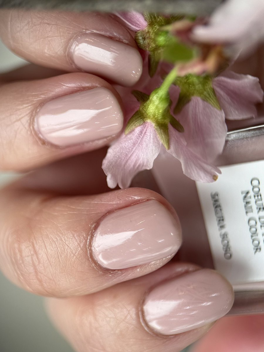 Causette.Joli KAMAKURA コゼットジョリ鎌倉店 tweet media