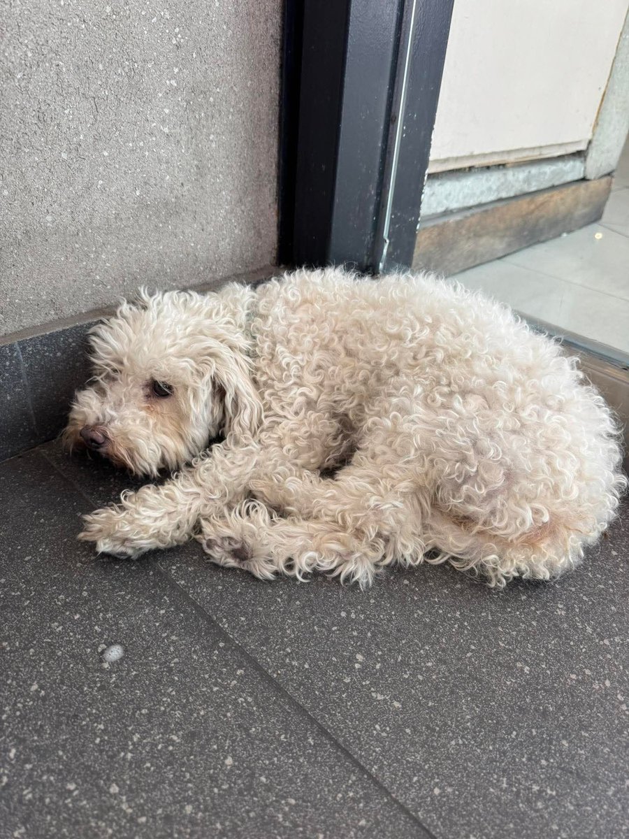 Beto Valdez tweet media