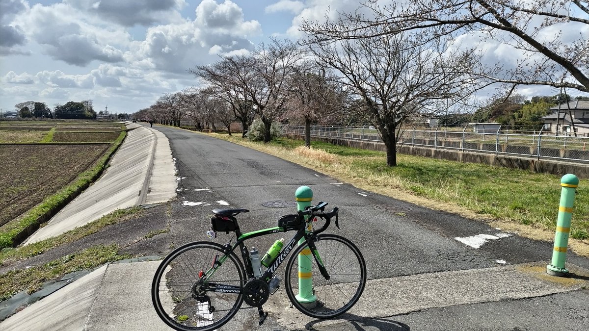 ひろぽん@404Fleche日本橋 tweet media