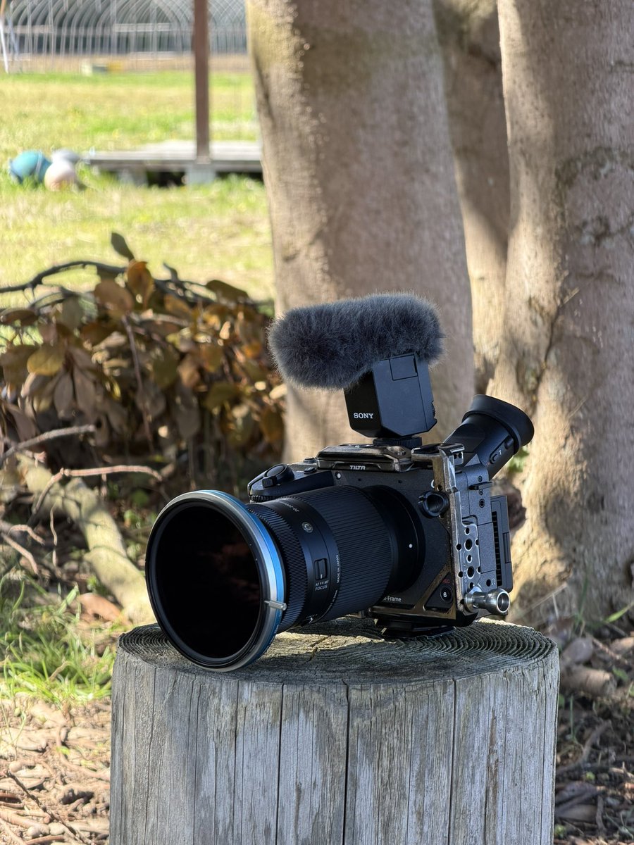 Kitefilm | Kaito tweet media