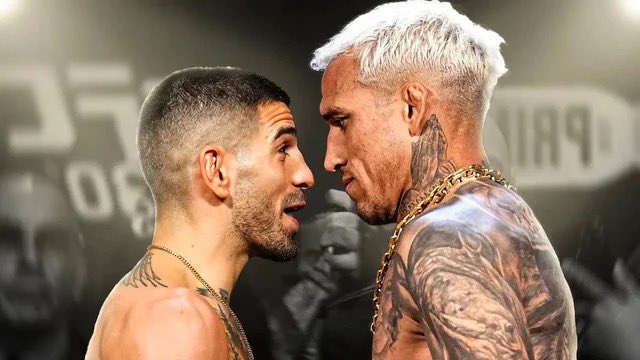 Blind Bear 🐻🕶️ tweet media