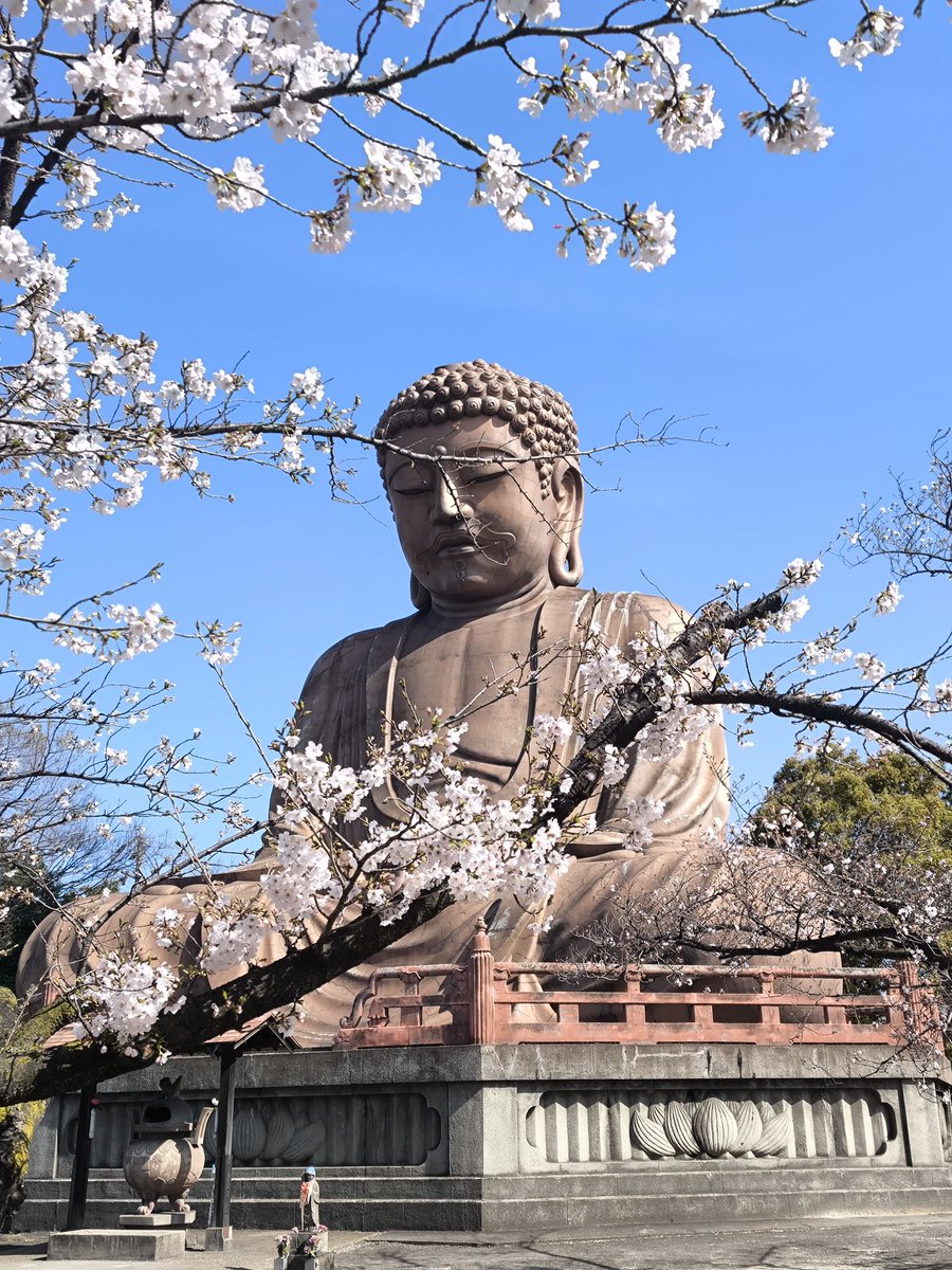 ジュエリー工房セリオ/オーダーリフォー厶 tweet media