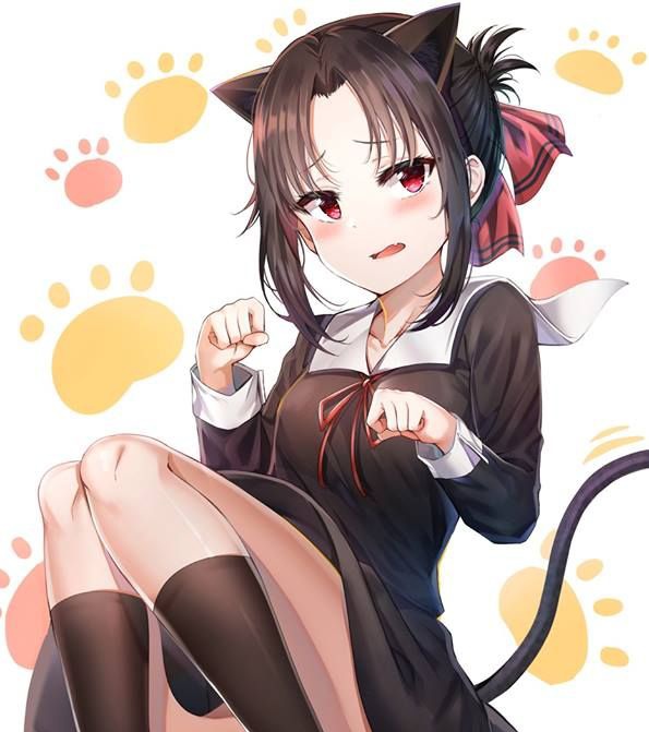 Benncarp🇵🇱 tweet media