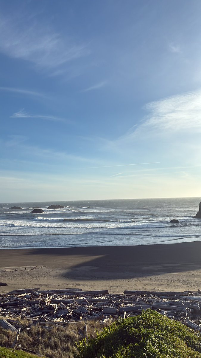 juicebox tweet media