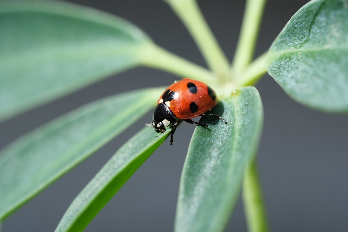 FUKUDA Toru 福田 亨 tweet media