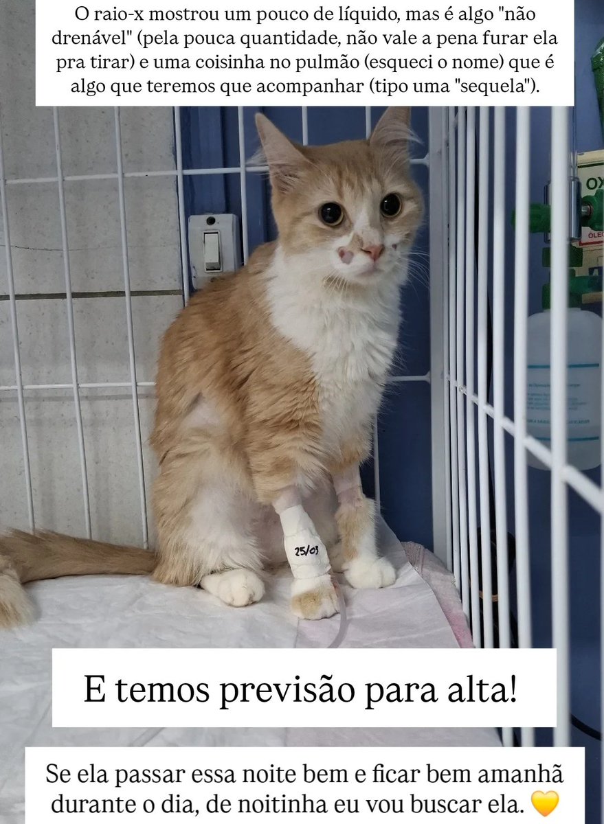 arthur testogel tweet media