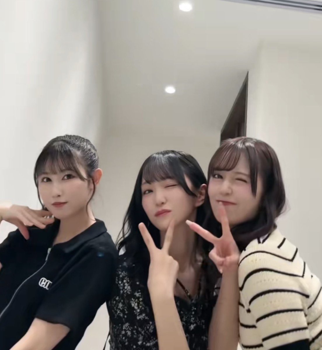 み🌱🥦🐼 tweet media