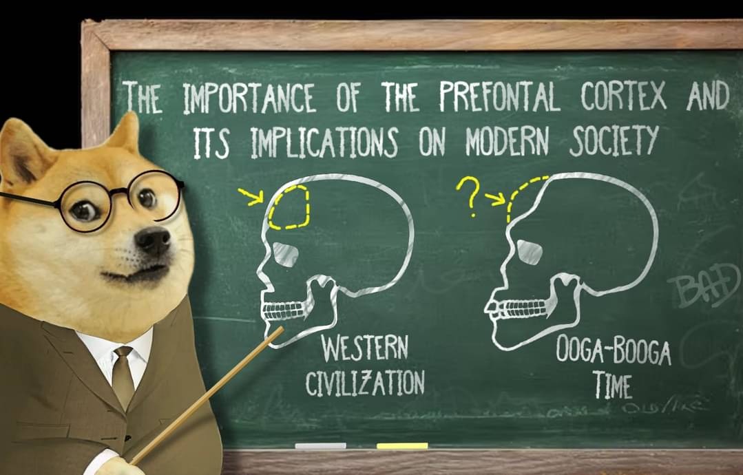 Account Number 18 🇨🇦🧙‍♂️💭 tweet media