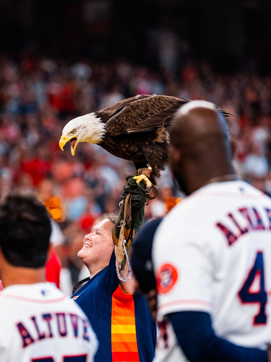 Houston Astros tweet media