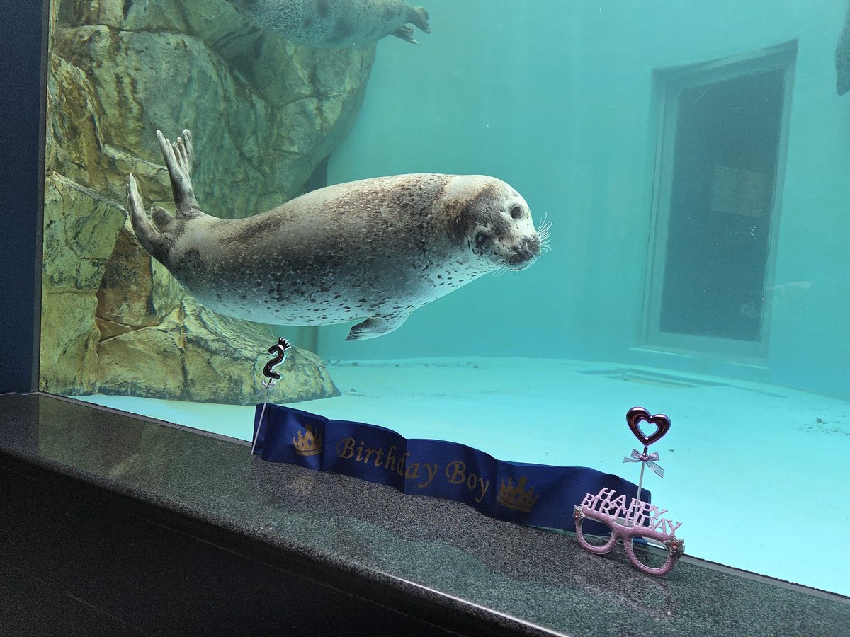 ピアニカ tweet media