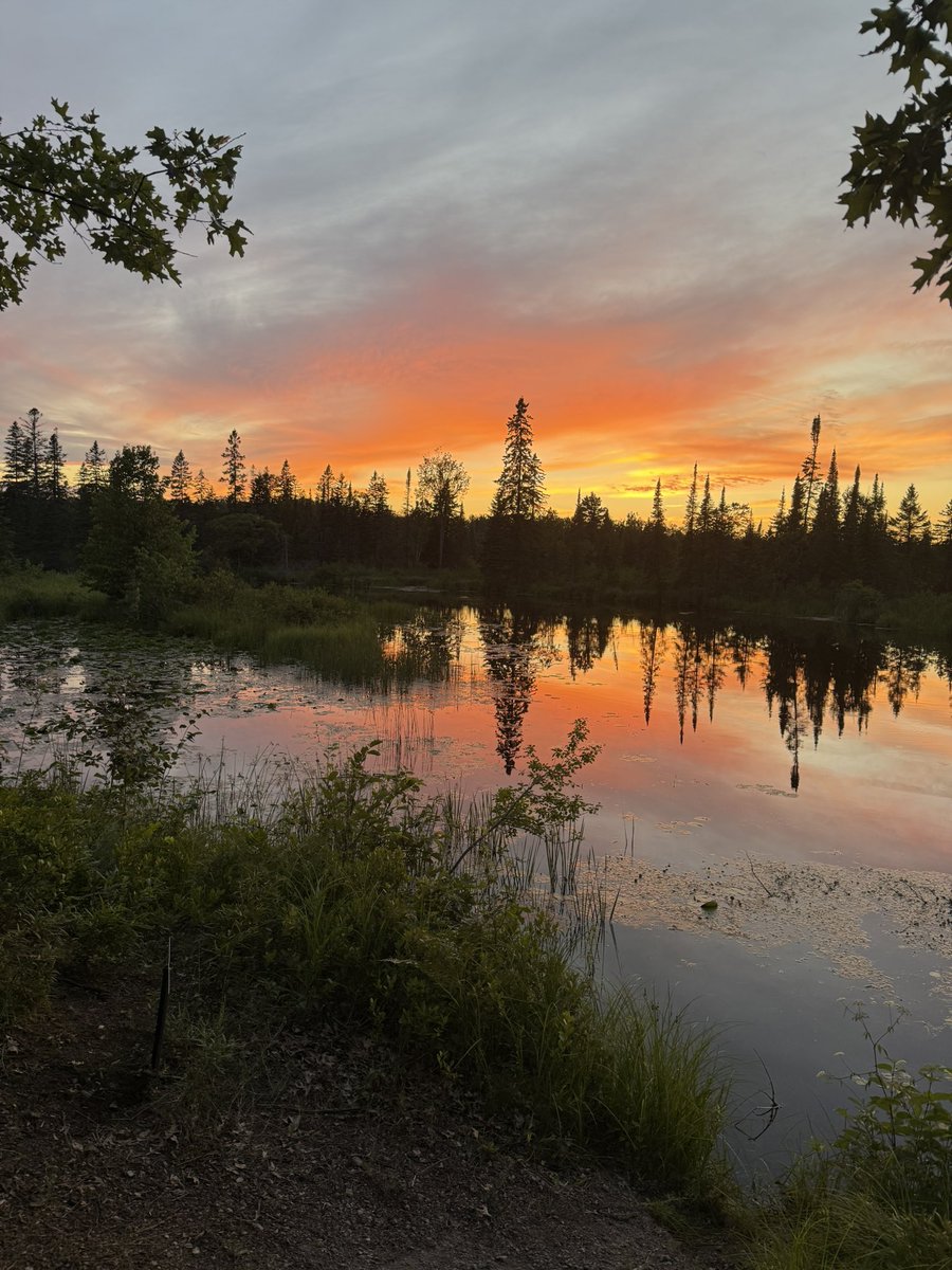 Kane 🪖 tweet media