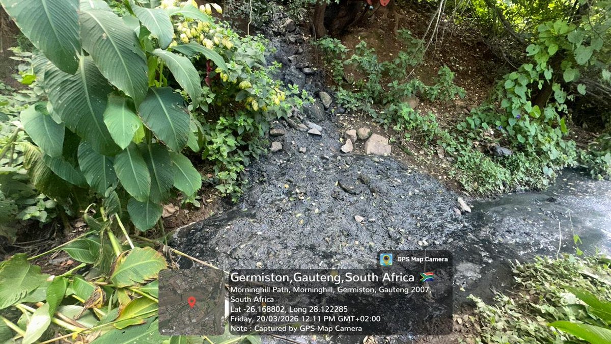 Spanxfull's tweet photo. @SikonathiM @City_Ekurhuleni @SAHETItweet @nkosindiphile_x Sewer infrastructure malfunction was discovered during site visit with DWS EMI Inspector Fri 20 March.
I logged service request &amp; CoE cleared blockage on Sat.
NO RESPONSE RE REMEDYING EFFECT ON RIVER.
CoE is NOT monitoring infrastructure assets.
@DWS_RSA @PresidencyZA @GDCoGTA https://t.co/AYuaozH4mt