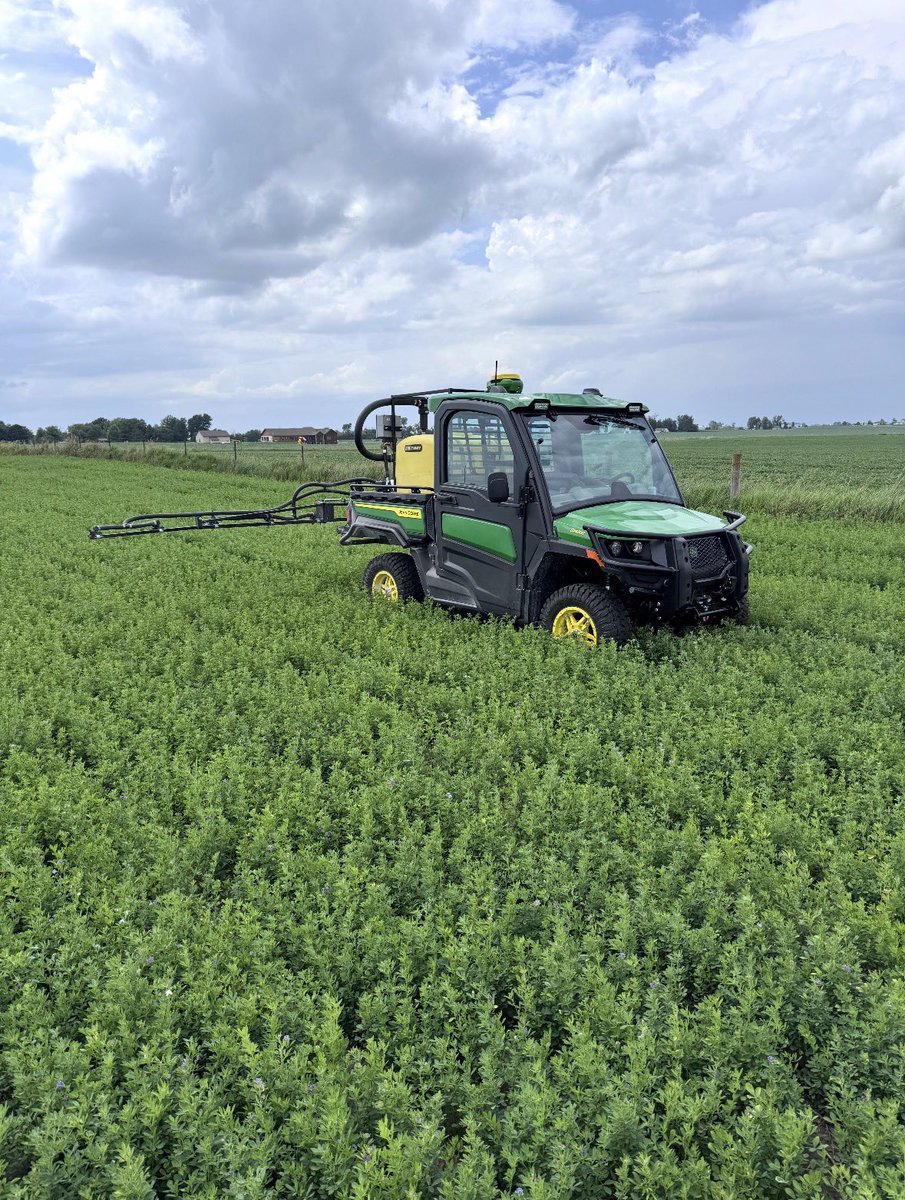 casey pederson tweet media