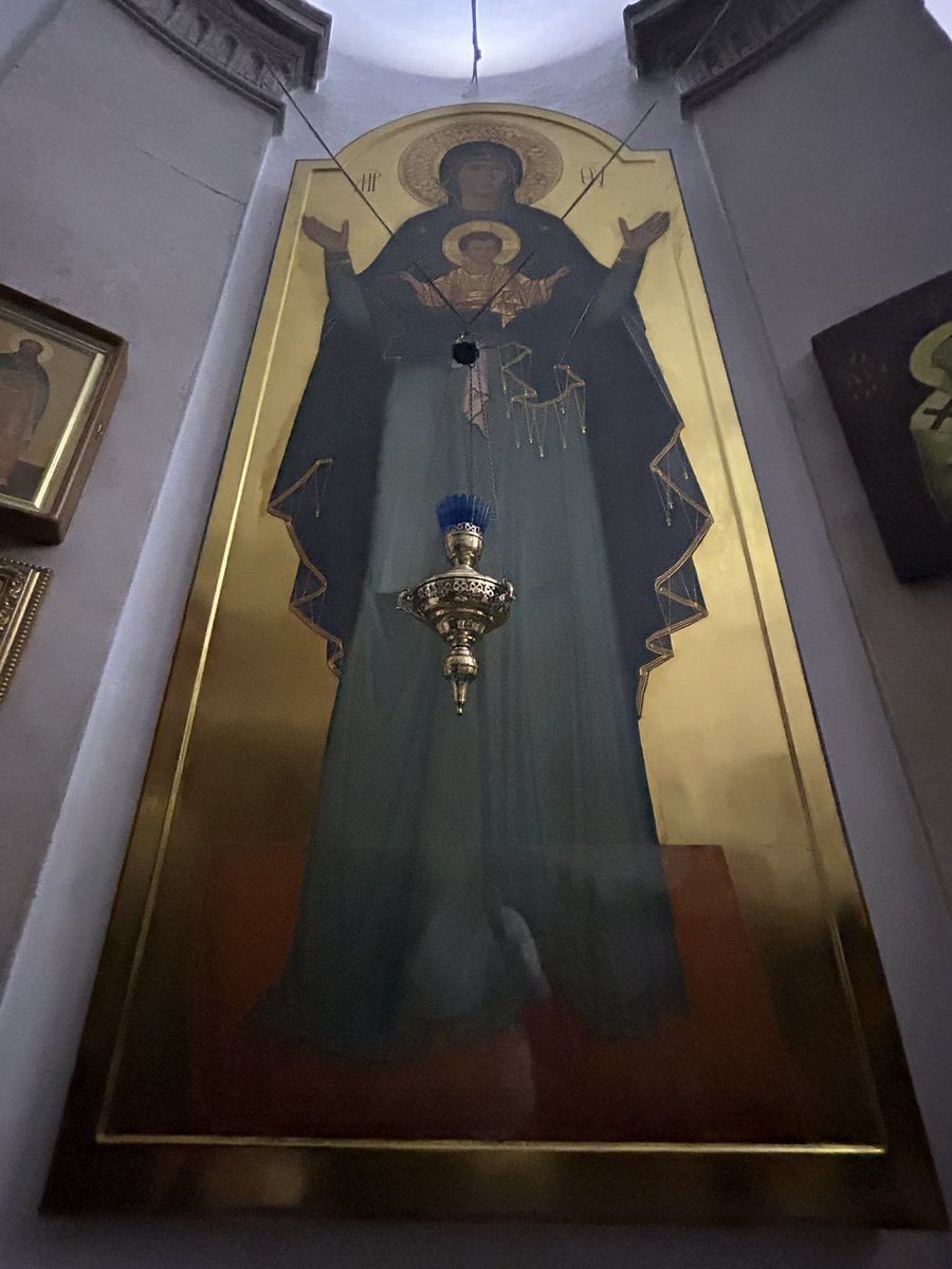 Gustavo Rodrigues tweet media