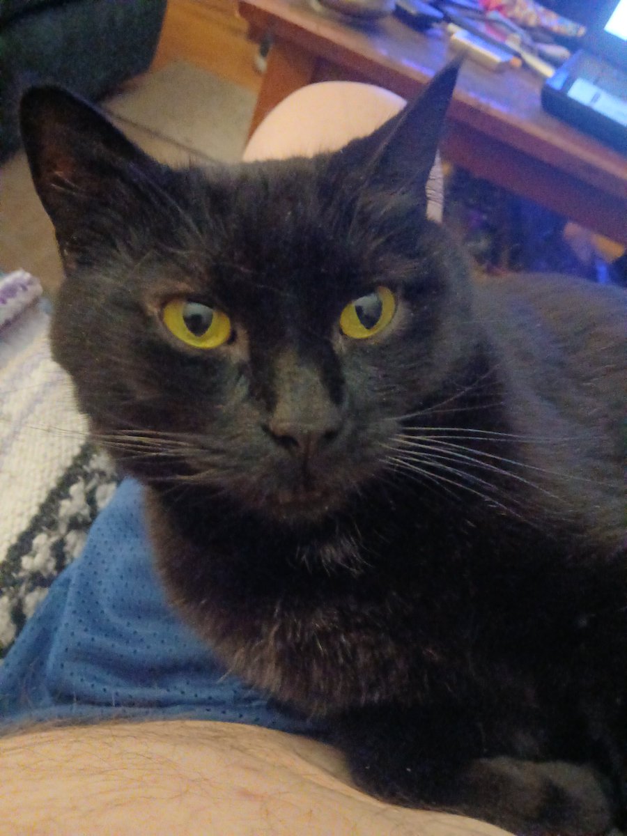 𝘓𝘪𝘧𝘦𝘉𝘦𝘺𝘰𝘯𝘥𝘎𝘰𝘥 ◉ ᓚᘏᗢ 🇺🇸 tweet media