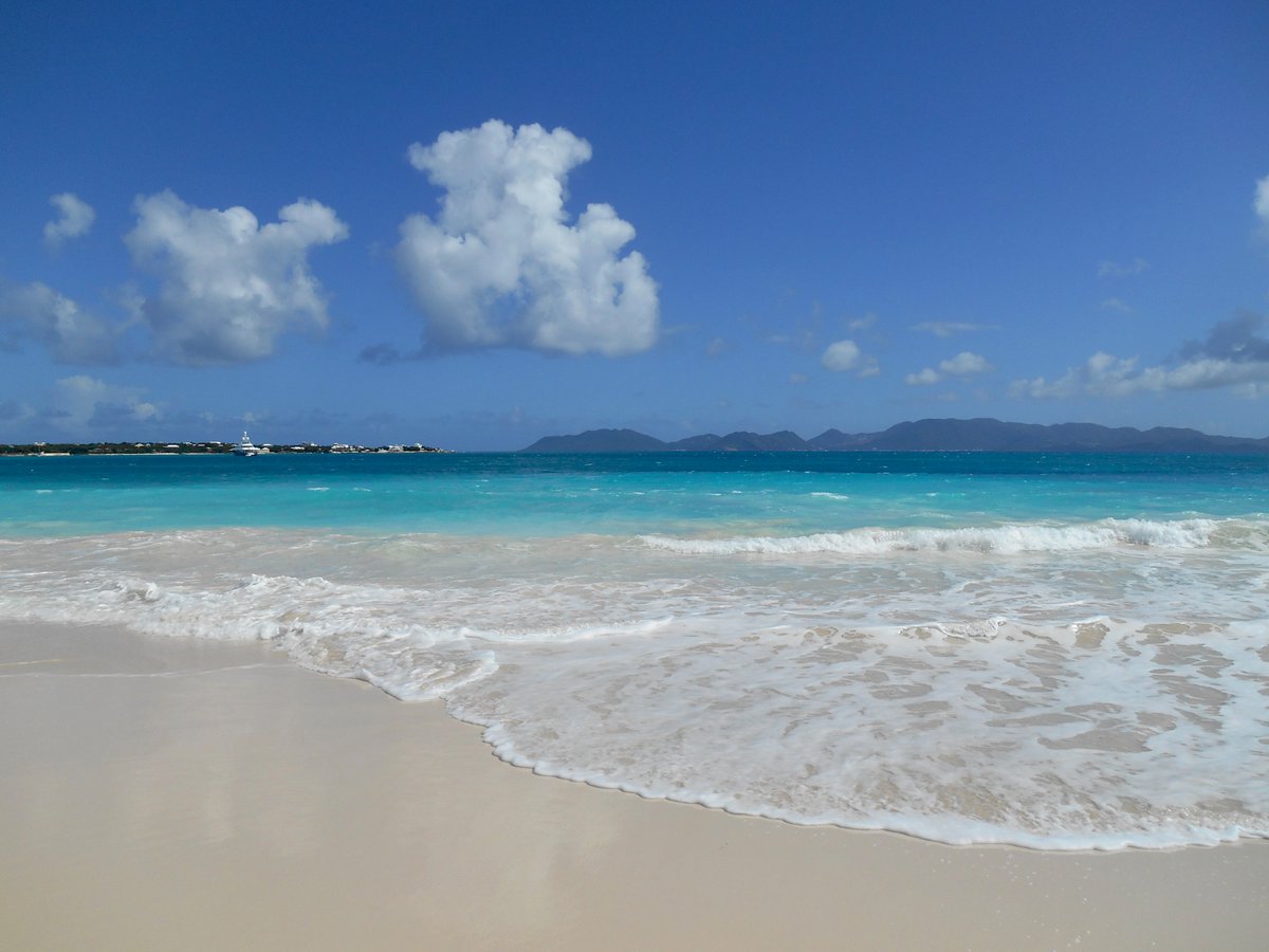 Brian Simpson-Author tweet media