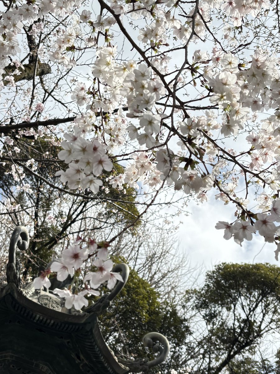 もちうさ tweet media