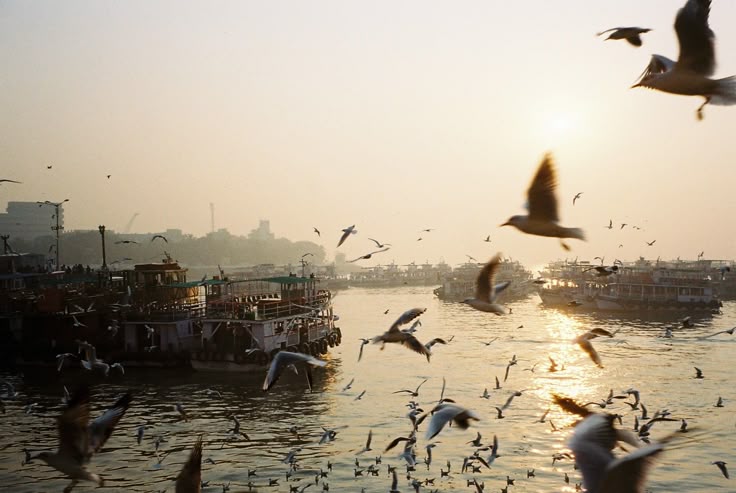 chococioo tweet media