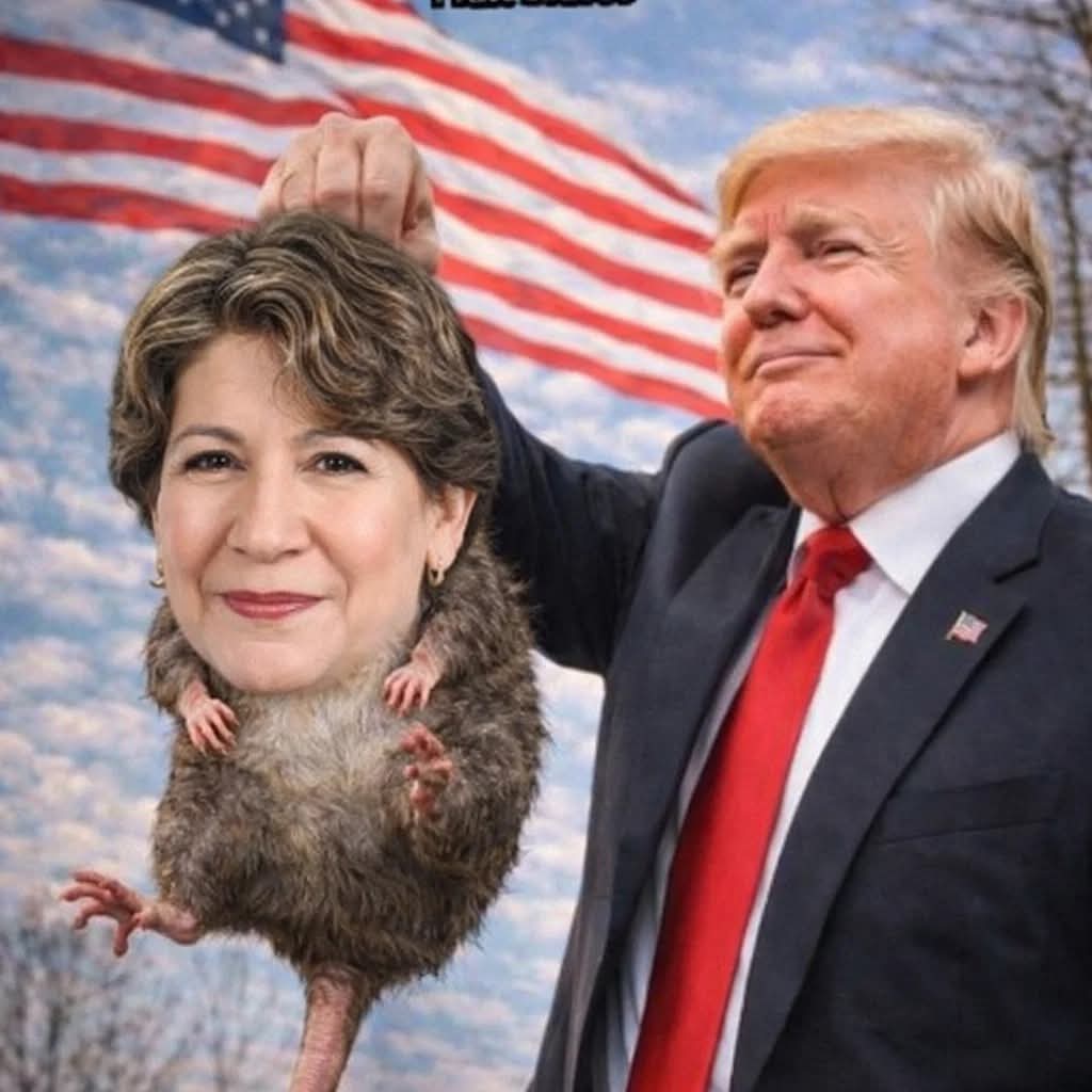 JAVIER. México en resistencia civil. tweet media