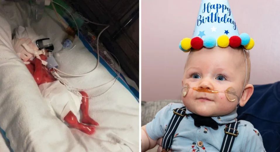 LifeNews.com tweet media