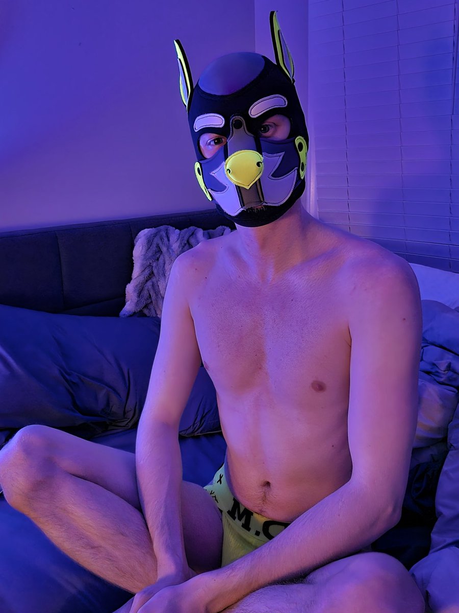 Pup Arthur ➡️ FWA tweet media