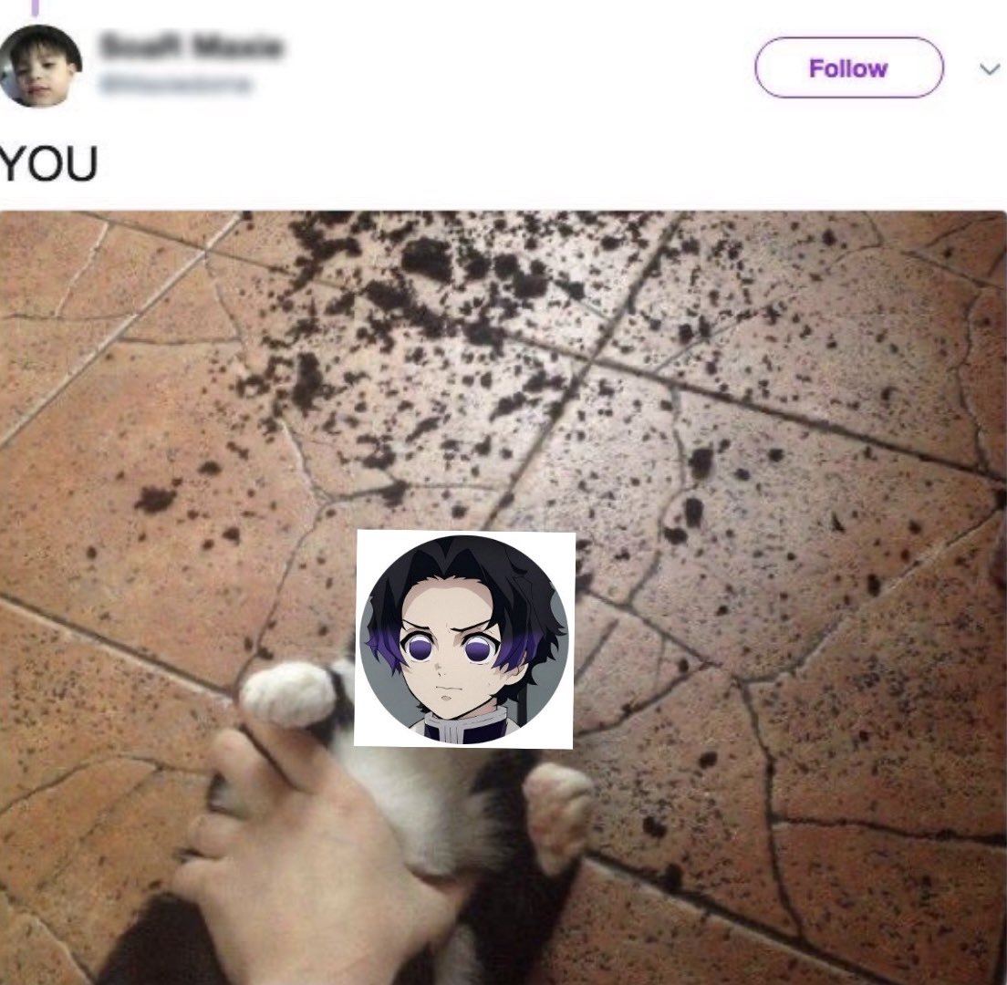 Cana 🌸🦋 of friestwt tweet media