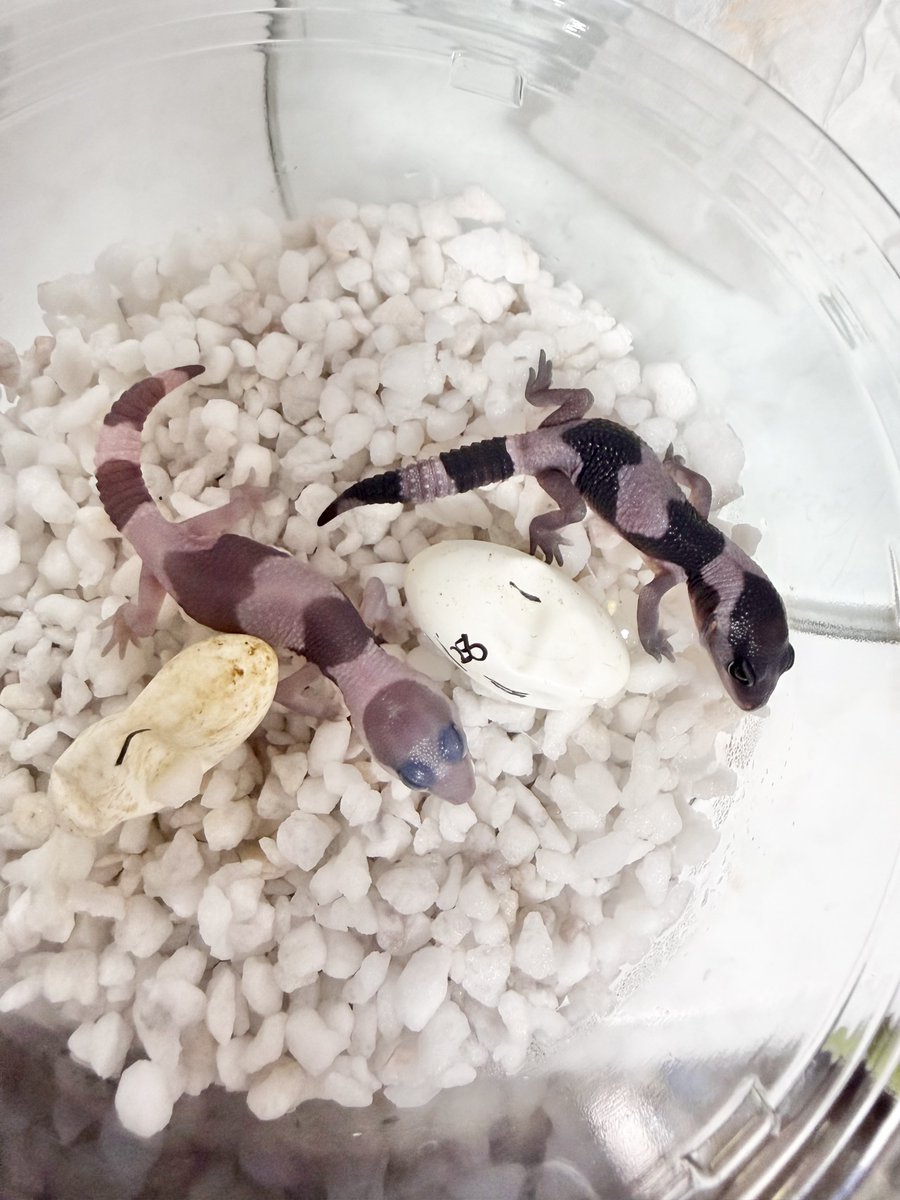 のの💌 tweet media