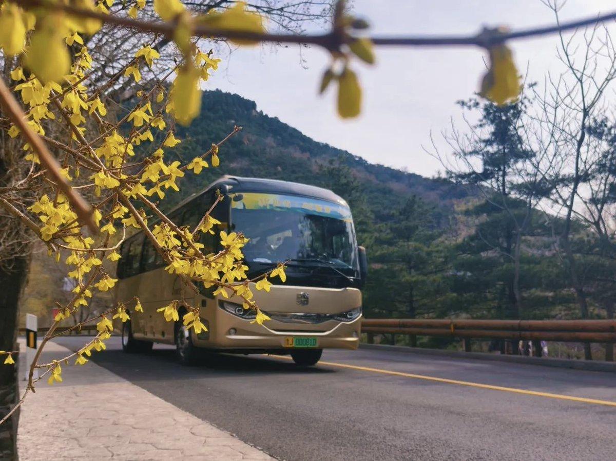 AndQingfeng's tweet photo. https://t.co/lSLzOgVU16