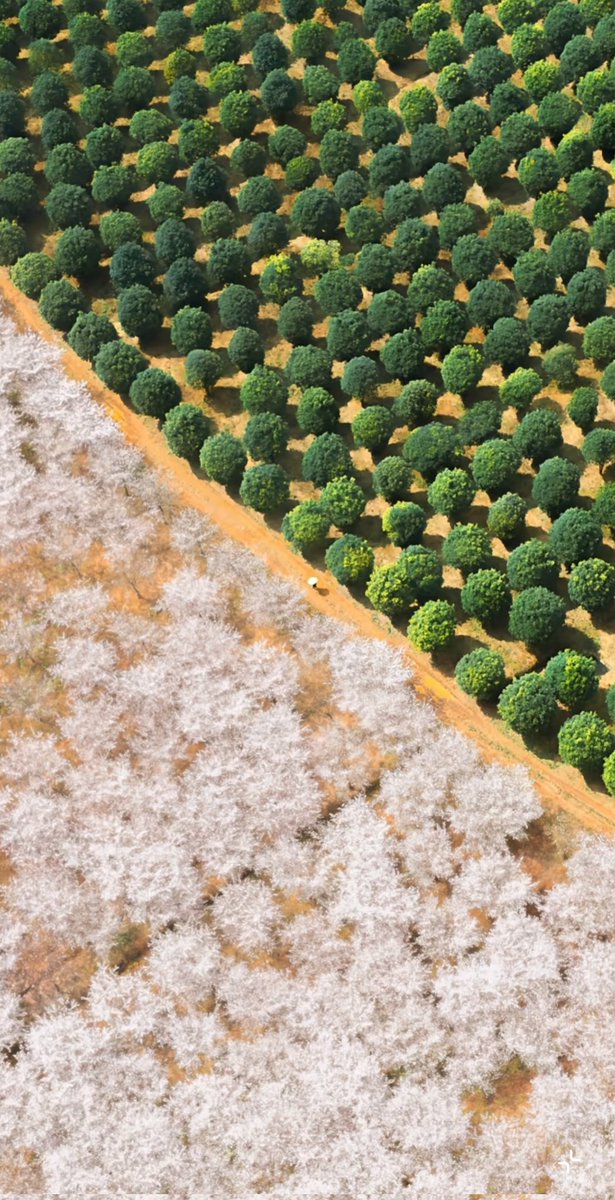 叮叮(互fo)💯💯💯 tweet media