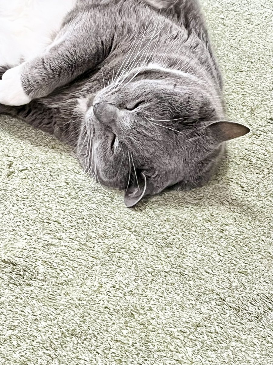 moegi0218@5/5.6 artevarie tweet media