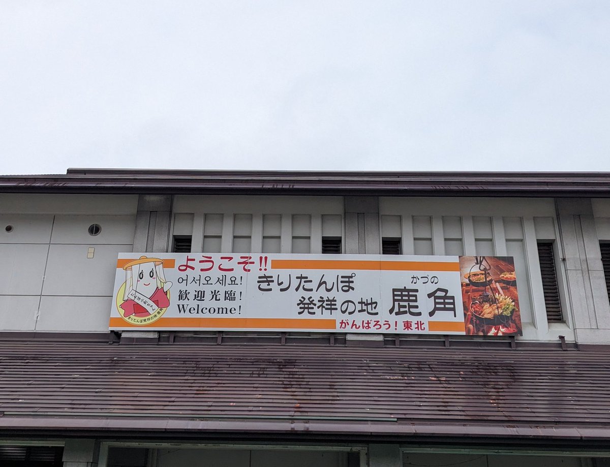 湘南ペンギン tweet media