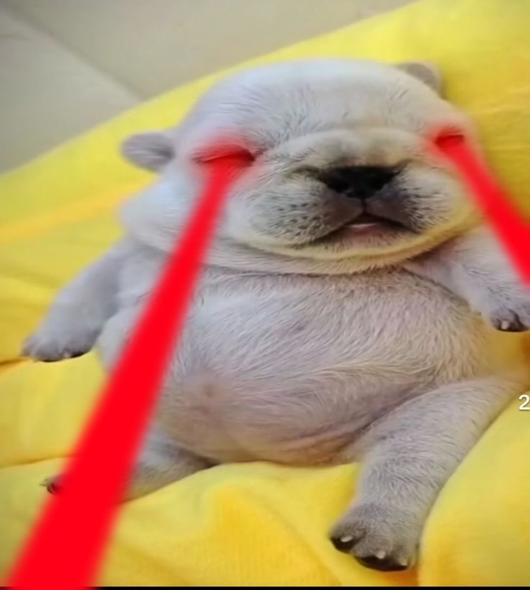 tofii | Enhypen is 7 tweet media