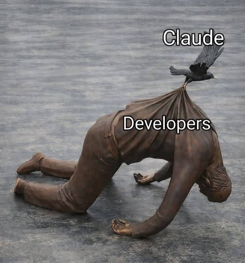 Python Developer tweet media