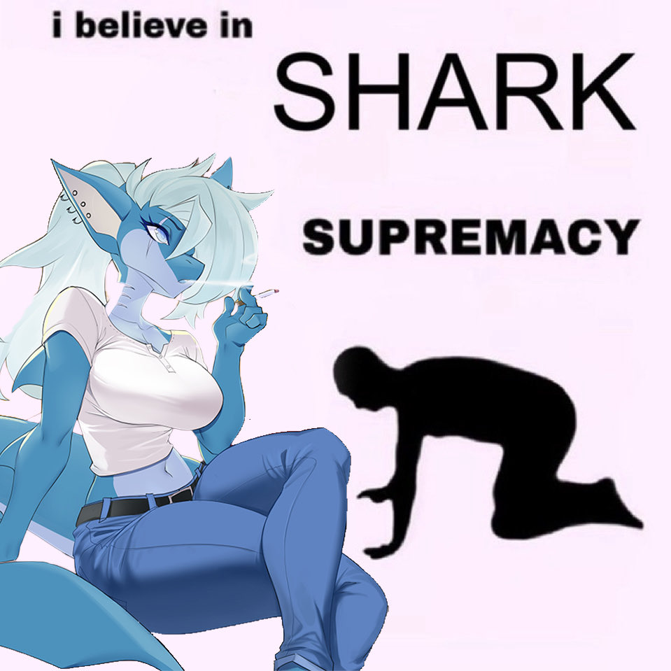 🦈 Balluf The Shark 🦈 tweet media