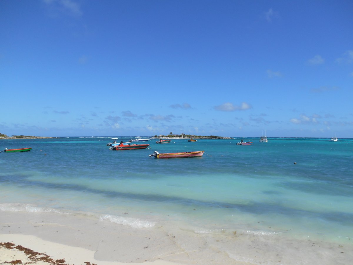 Brian Simpson-Author tweet media