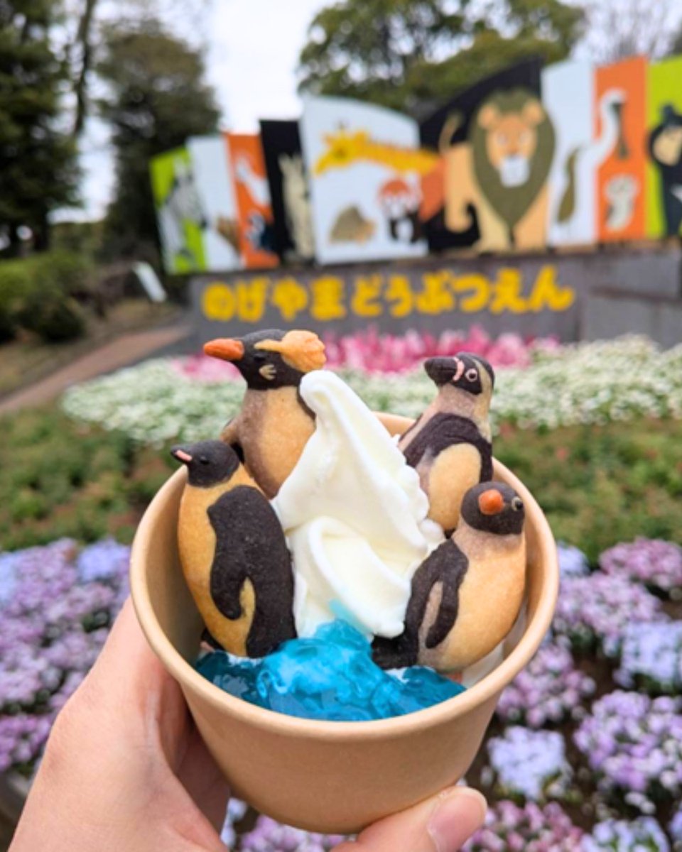 nogeyamazoo401's tweet photo. ✨期間限定メニューのお知らせ✨
本日より、#野毛山動物園  #なかよしショップ にて、期間限定で『ペンギンサンデースペシャル_野毛山』を販売します！
4種類のペンギン🐧のクッキーがのったDXなサンデーです！
ご注文頂いた方に限定ステッカーをプレゼント！
※数量限定、無くなり次第終了となります https://t.co/gZRauZU9rQ