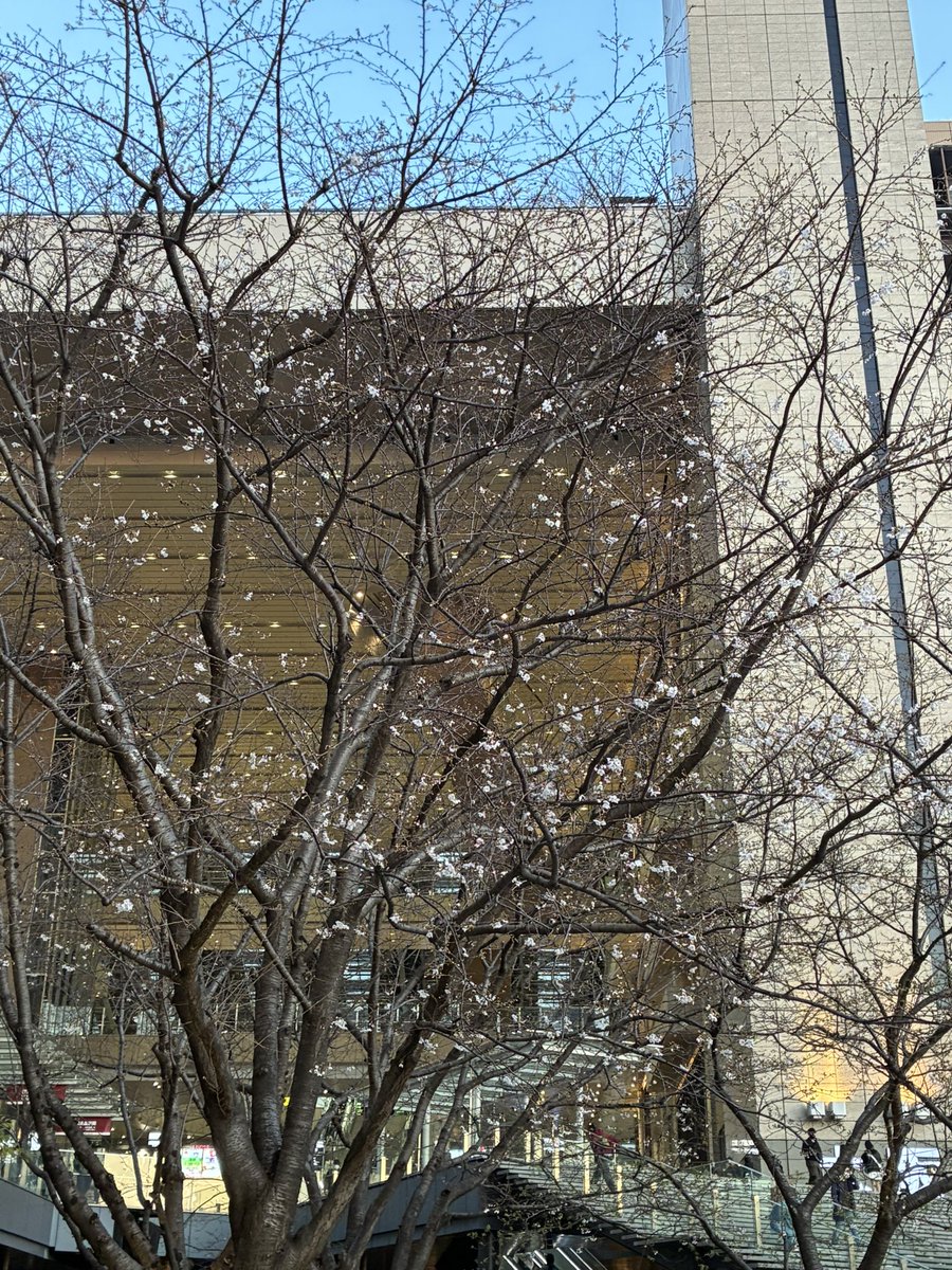 昨日は楽しかった
めちゃくちゃ最高